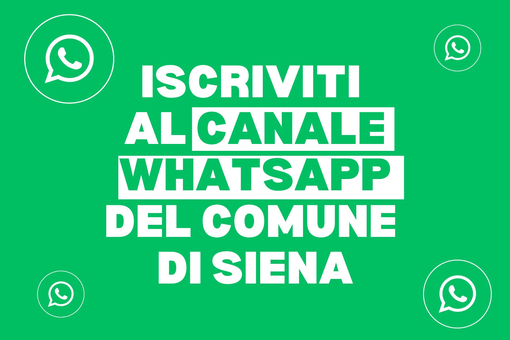 Canale WhatsApp Comune di Siena