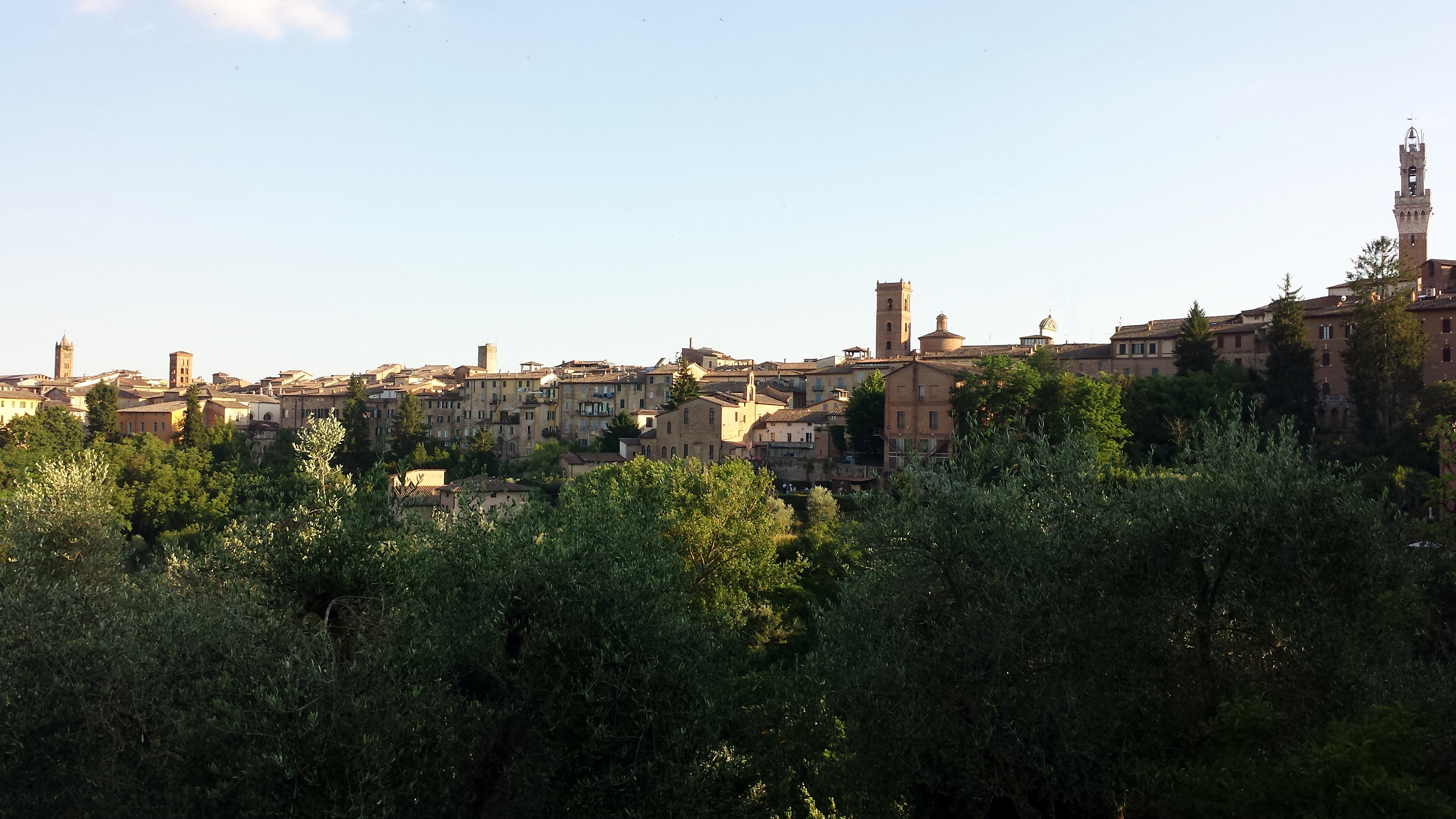 Siena Festival Biodiversità