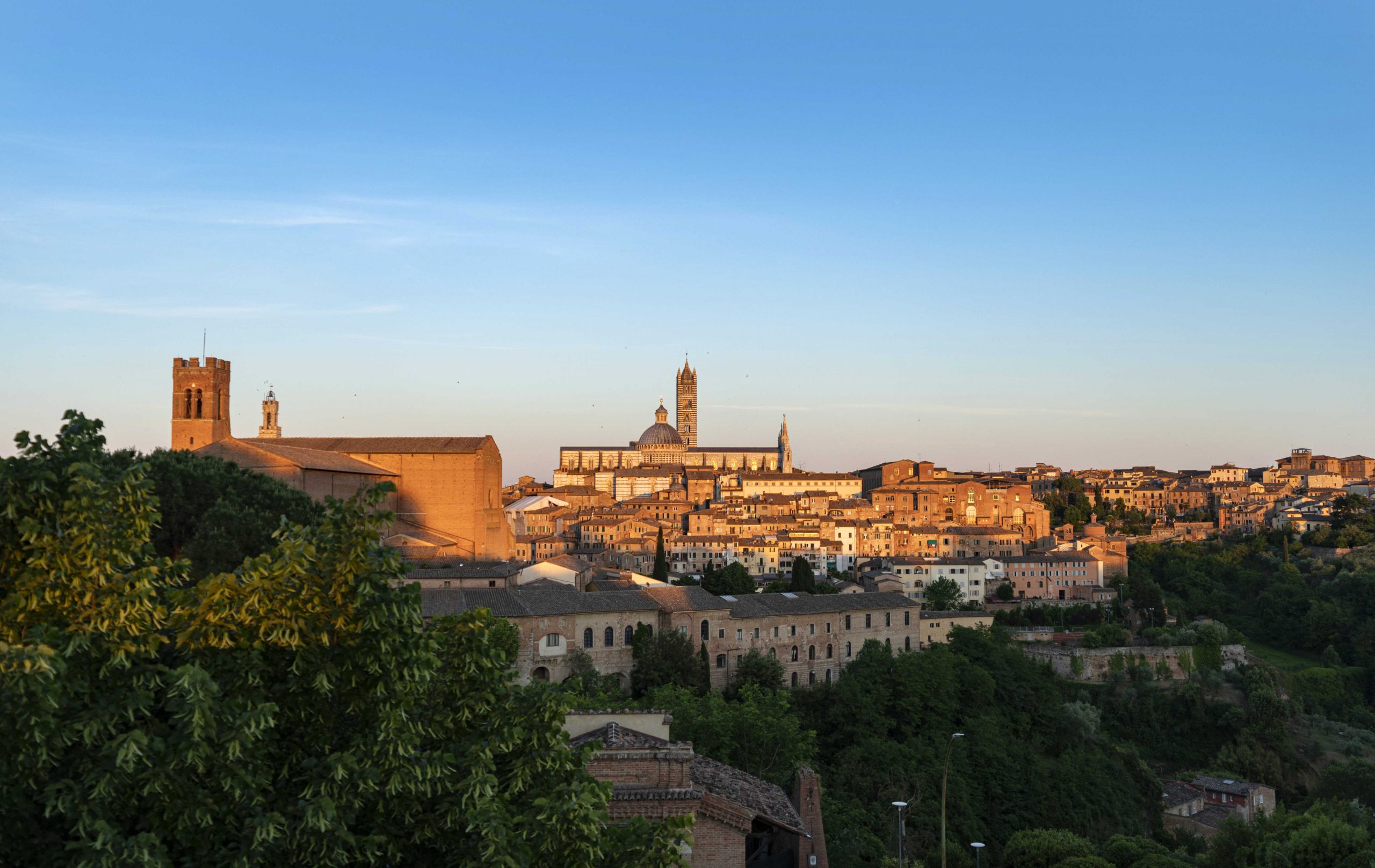 siena