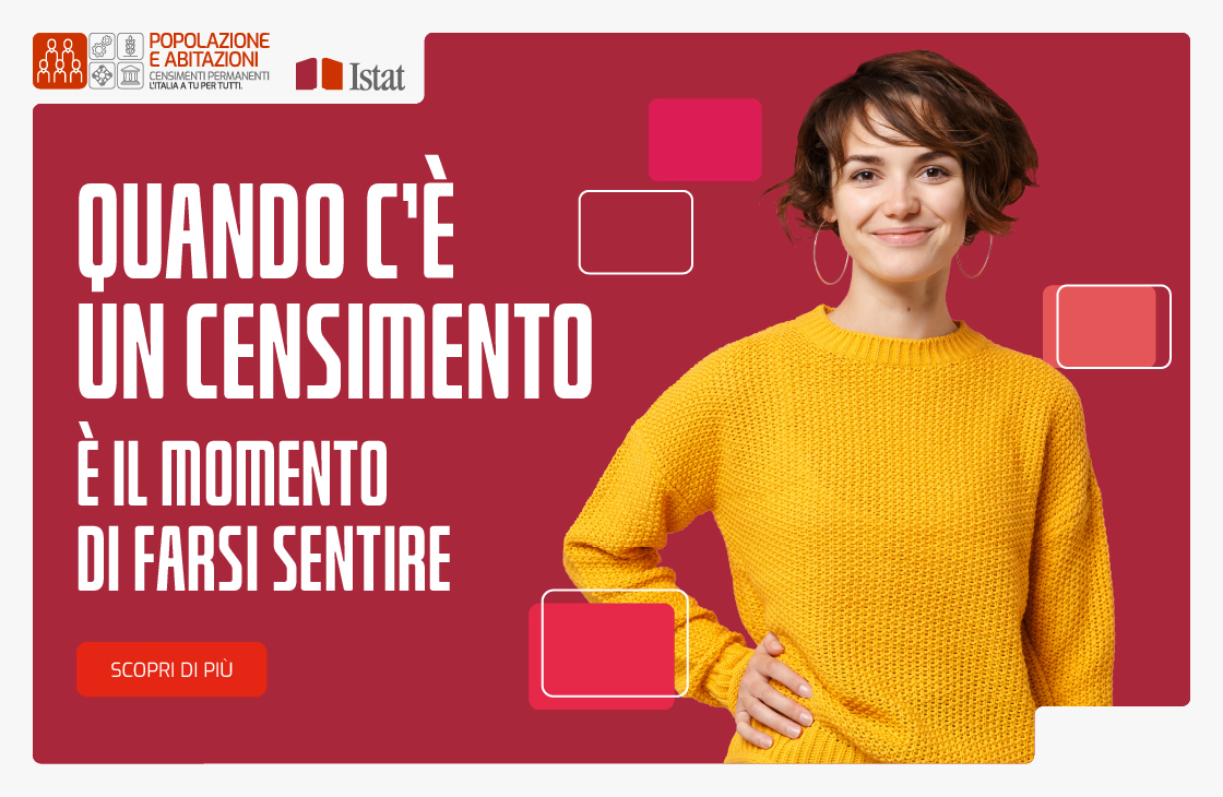 Censimento Istat 2025