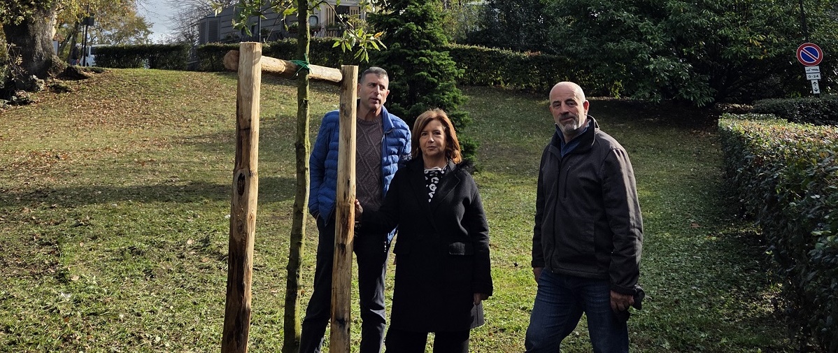 Giornata nazionale degli alberi