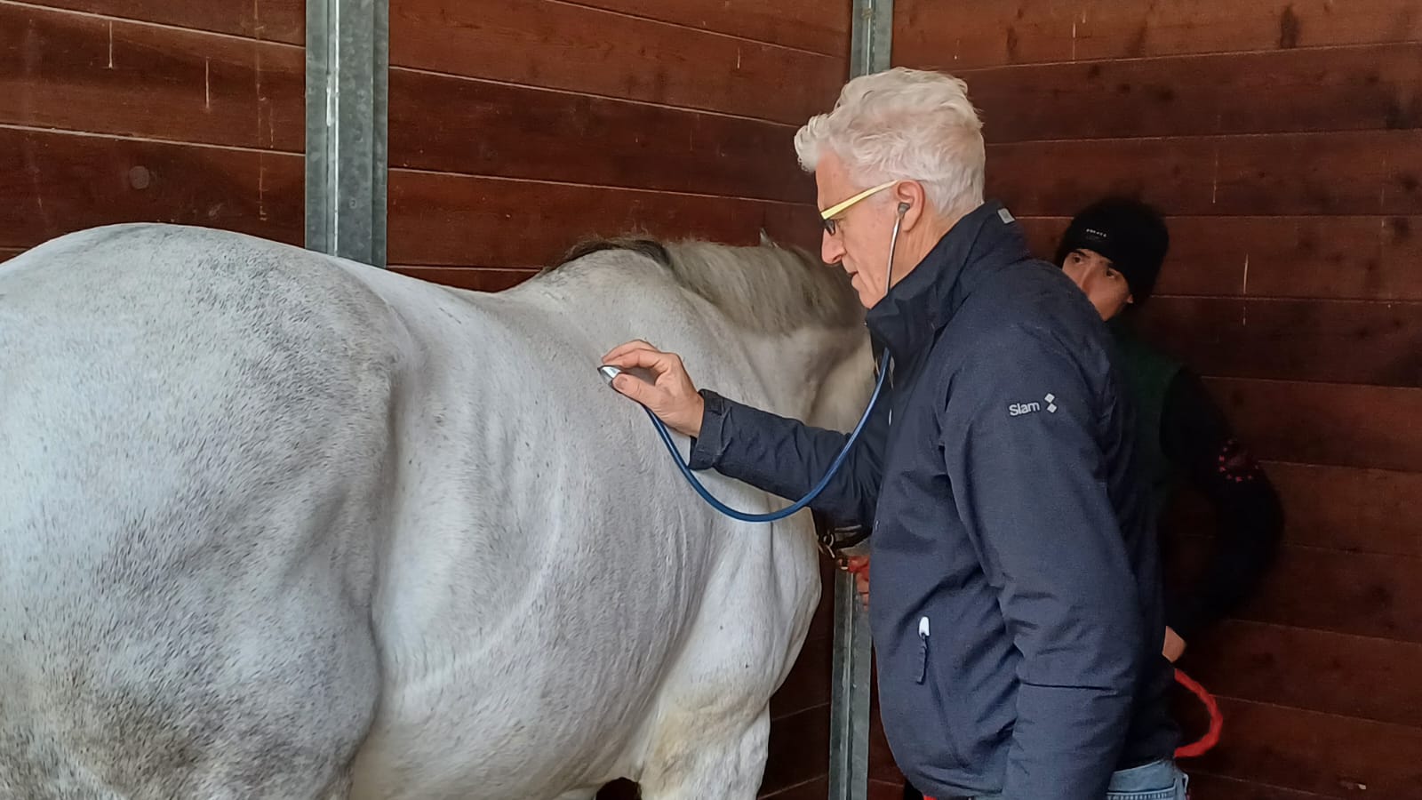 Visite di ammissione all'Albo
