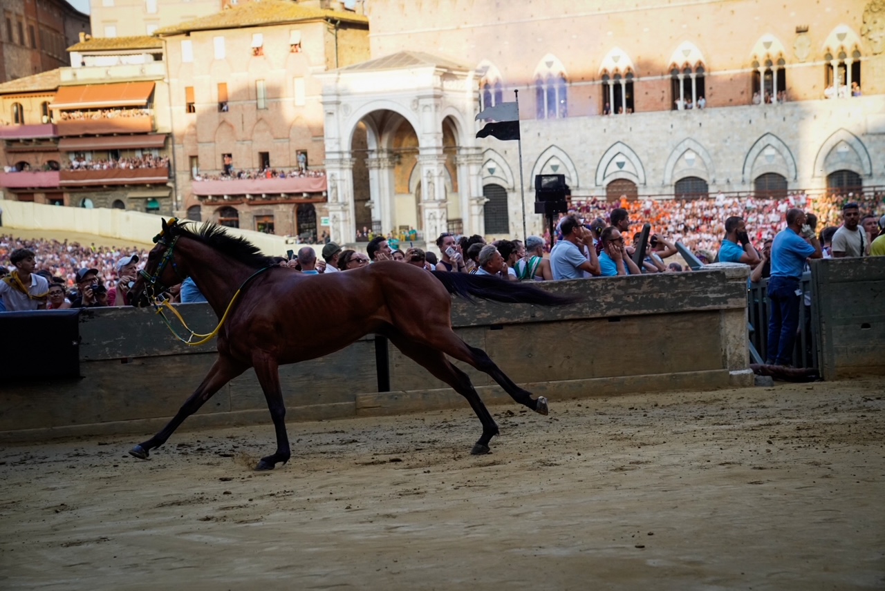 Palio del 2 luglio 2026 - Terza prova