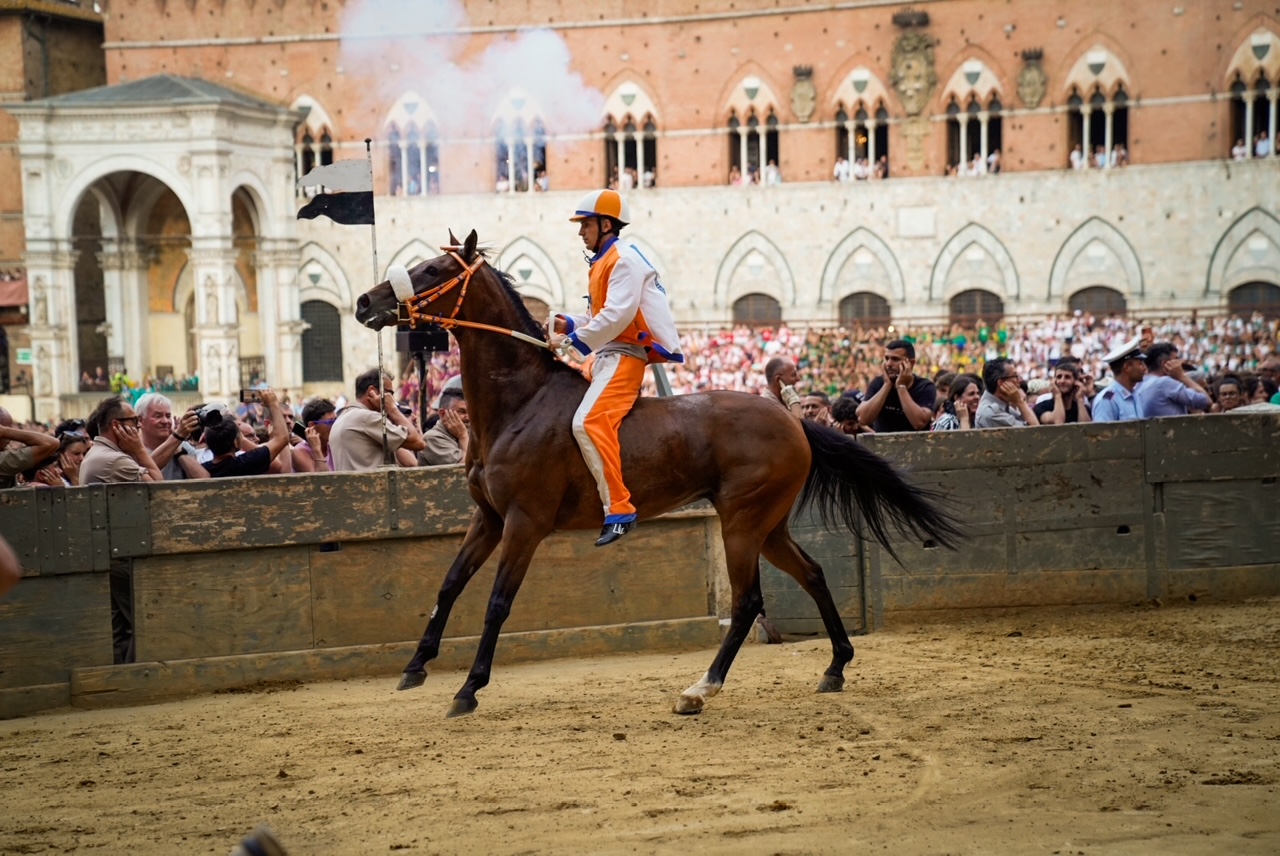 Palio del 2 luglio 2026 - Prova generale