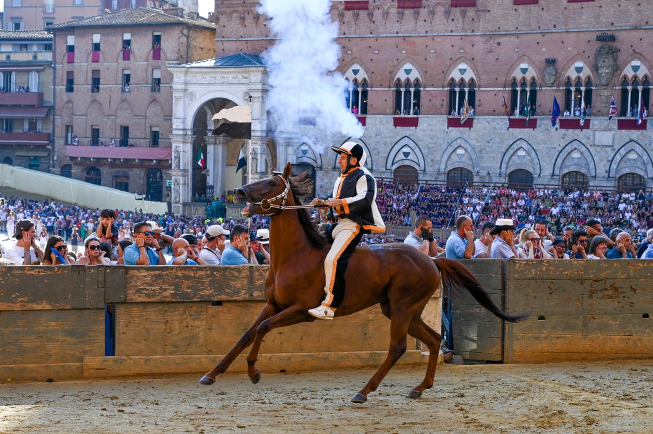 La Lupa vince la Provaccia del Palio del 16 agosto 2026