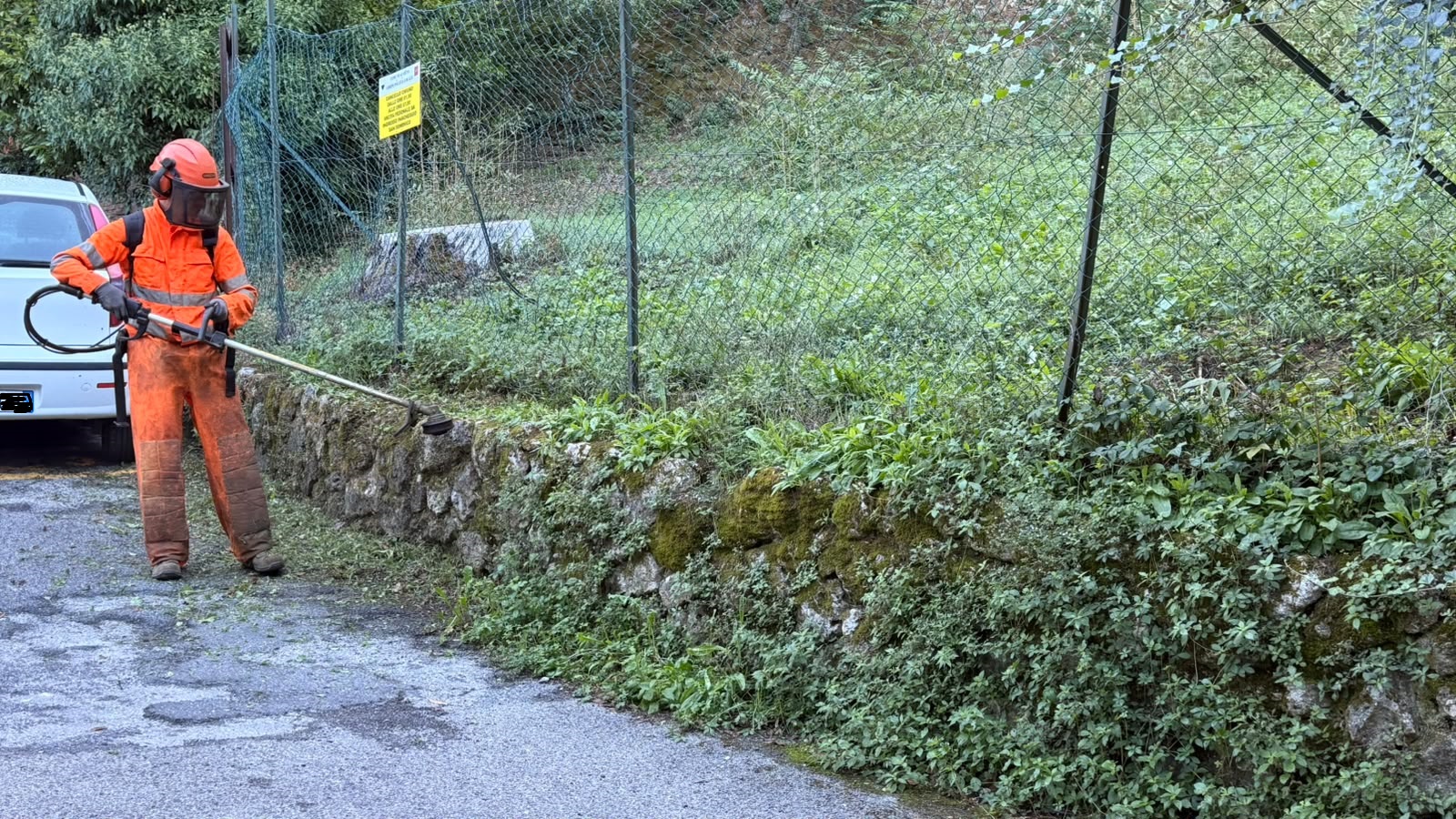 Manutenzione delle aree verdi allo stadio "Artemio Franchi"