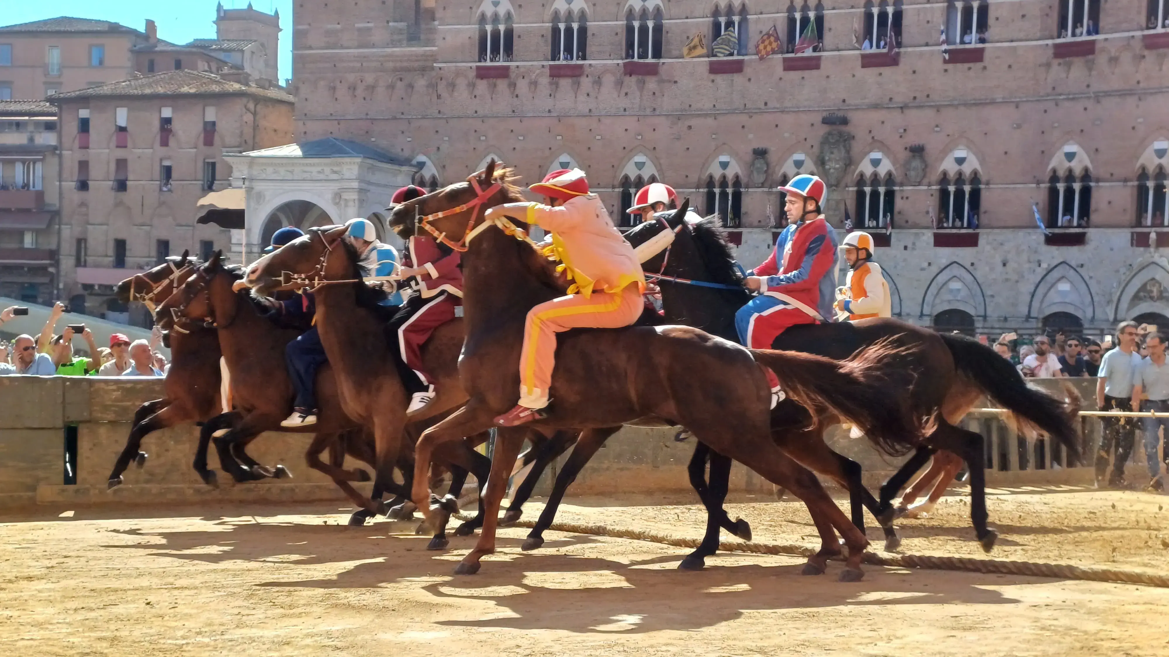 provaccia palio 2 luglio