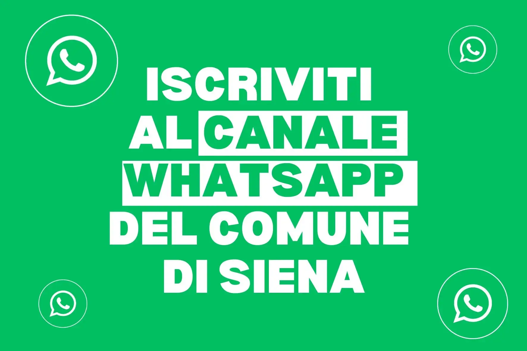 Canale WhatsApp Comune di Siena