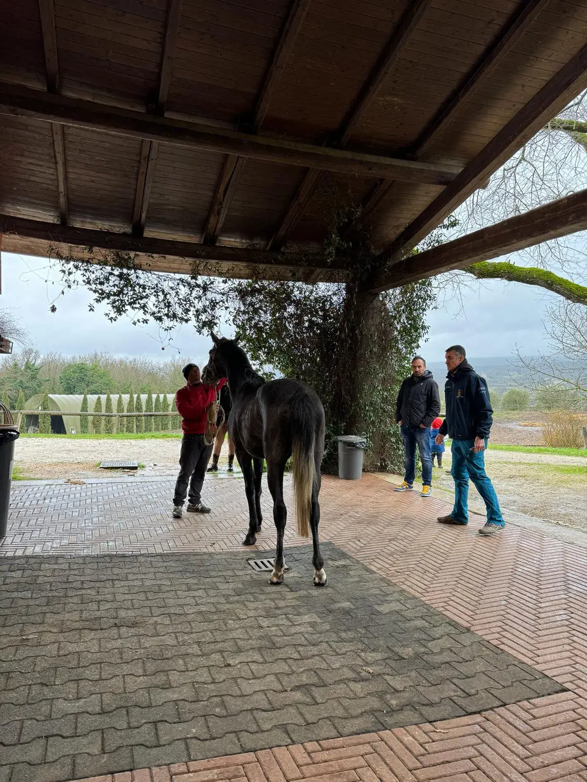 Visite di ammissione all'albo 2024