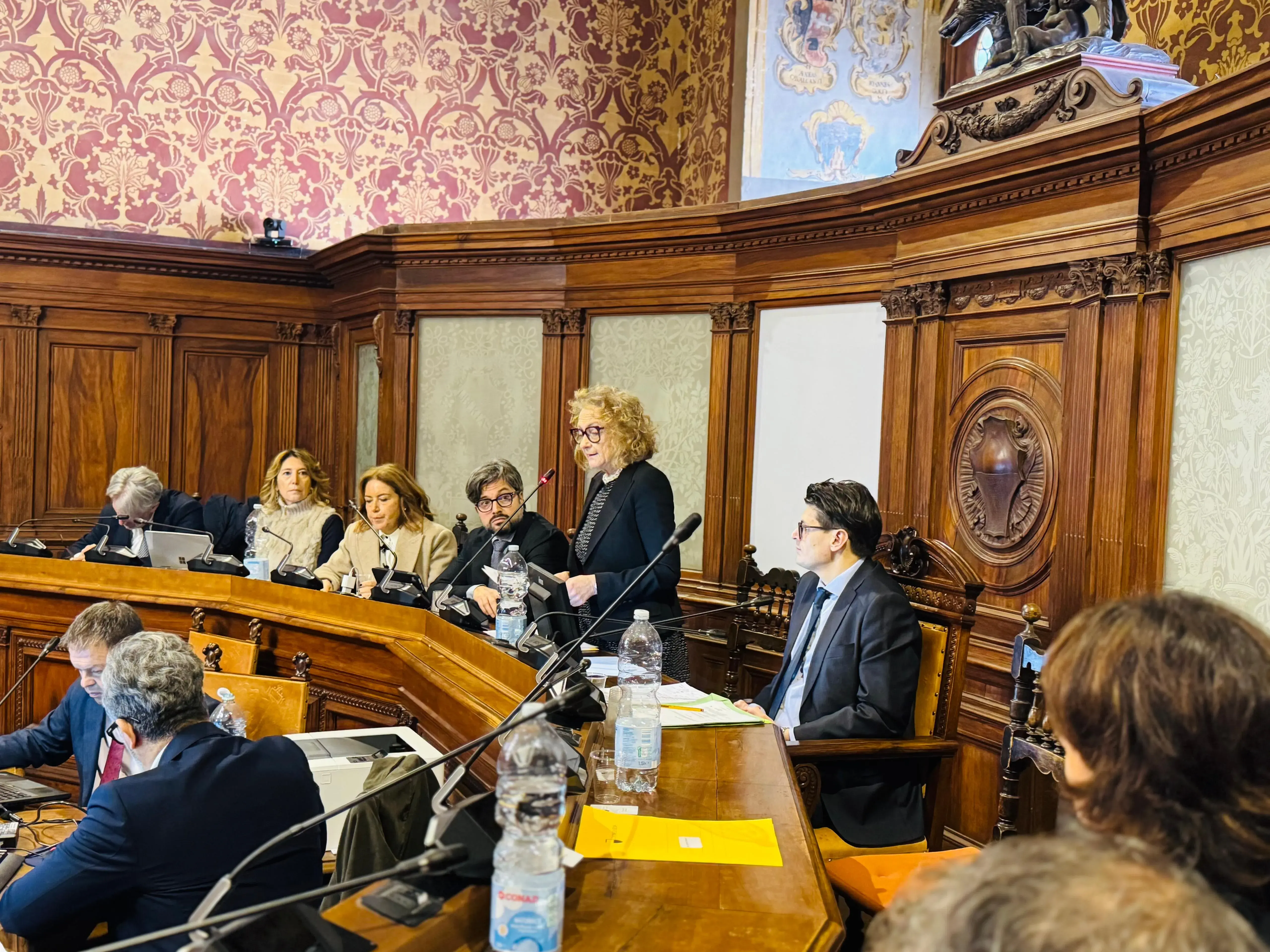 Sindaco Fabio Consiglio Comunale