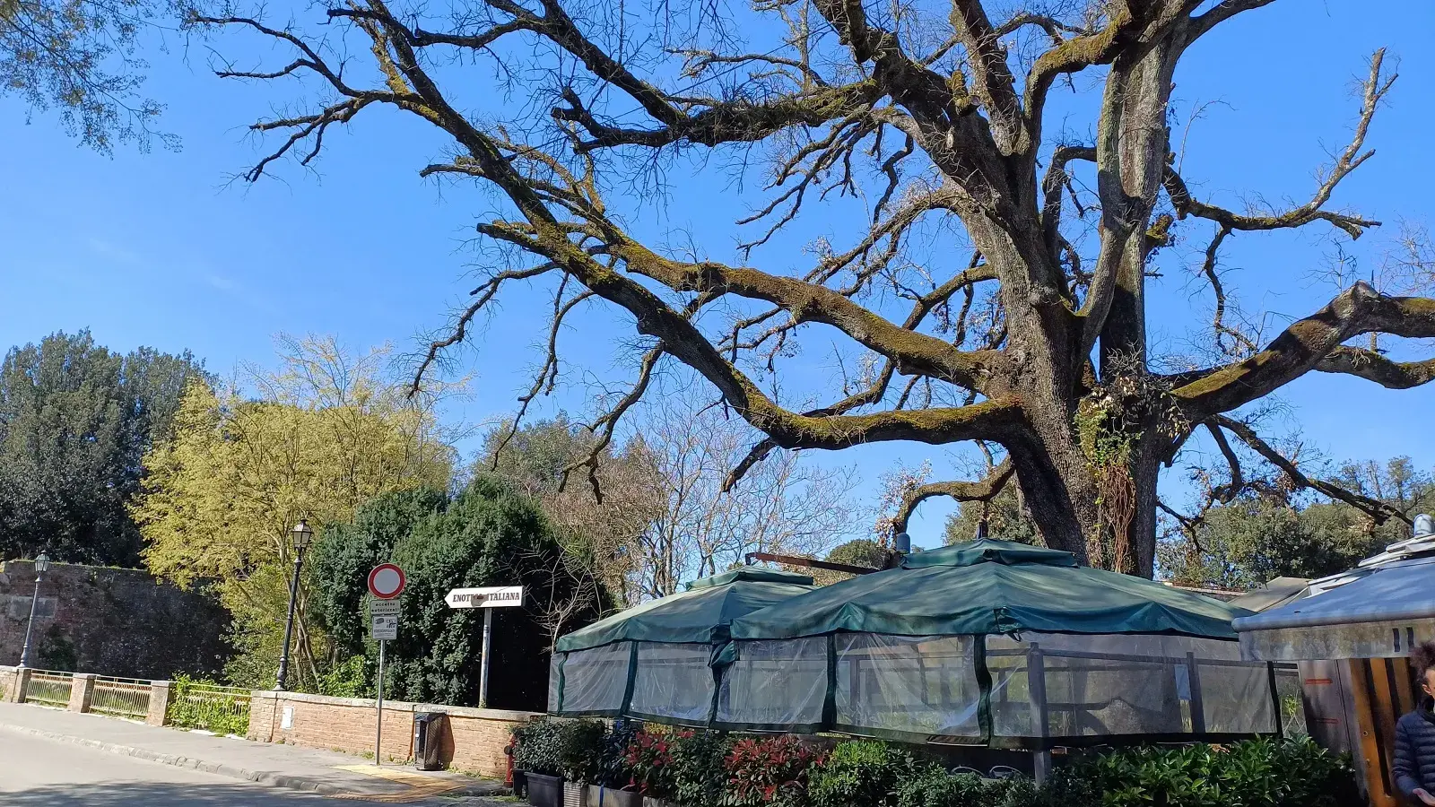 Leccio Fortezza Medicea