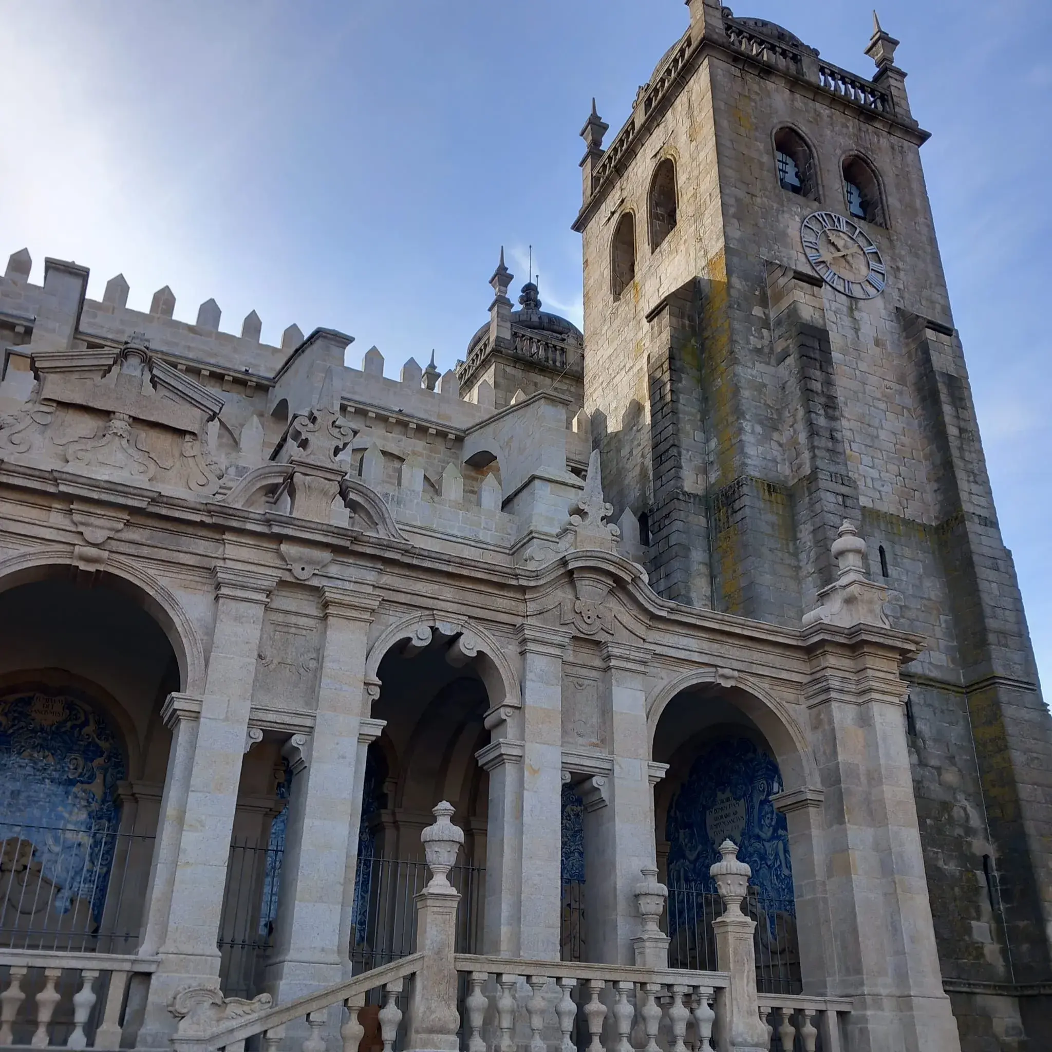 nasoni