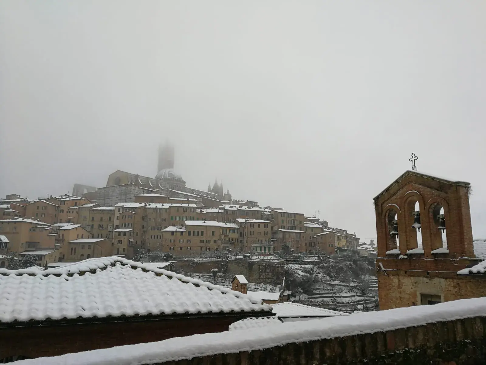 siena neve