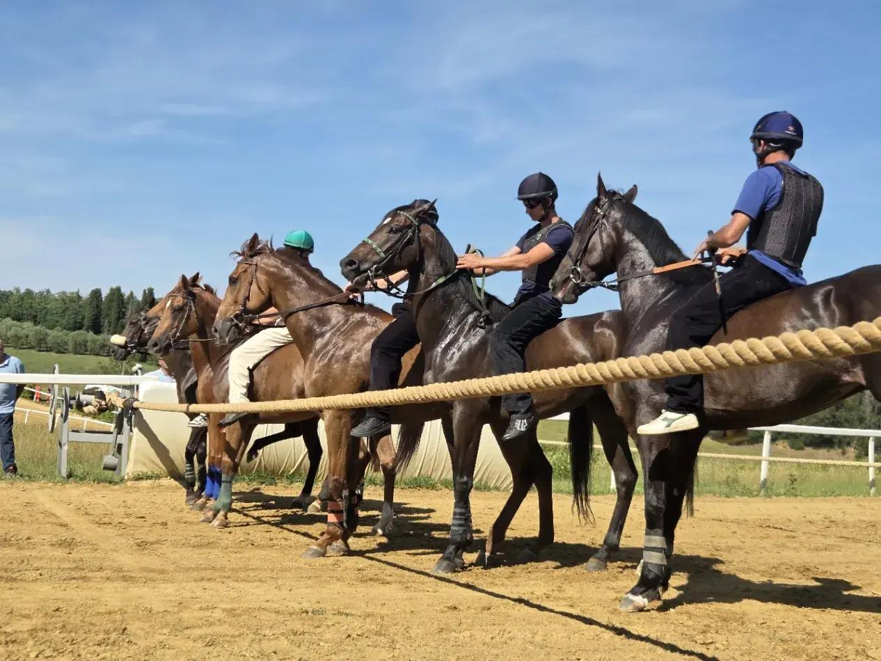 Lavori di addestramento - pista di Mociano