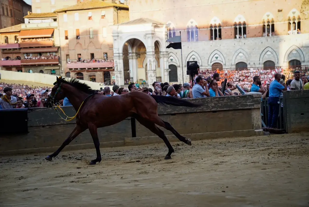 Palio del 2 luglio 2026 - Terza prova