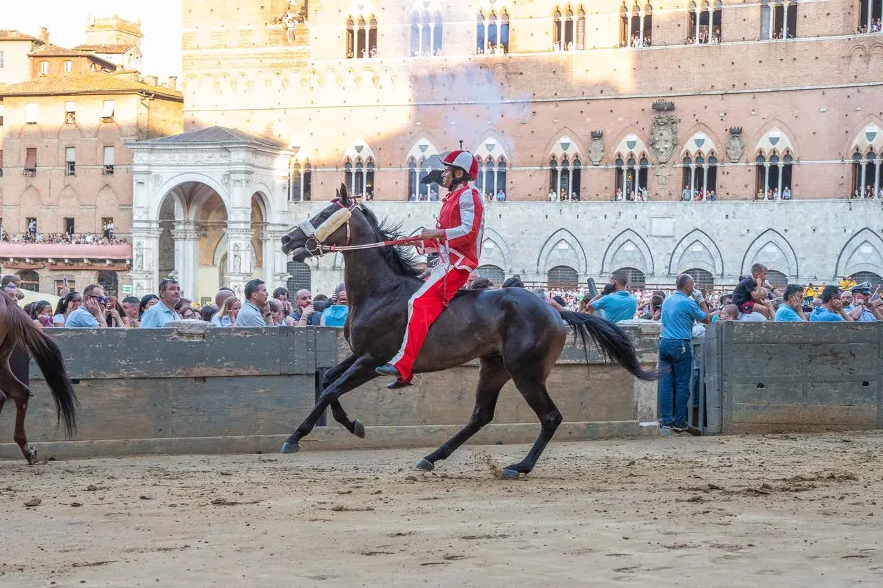 La Giraffa vince la terza prova del Palio del 16 agosto 2026