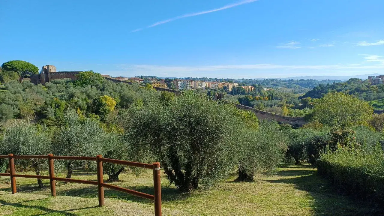 Valli verdi Siena